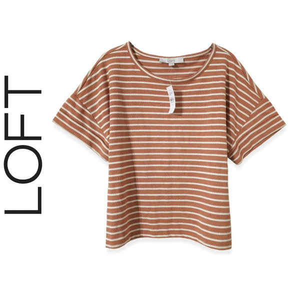 LOFT Nwt Boxy Oversized Cropped Peachy Brown & White Dot Striped Crewneck Tee, M - Picture 2 of 11